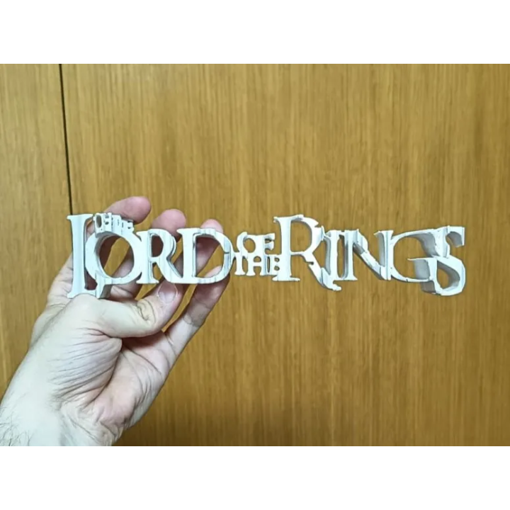 Sculpture Anamorphique - Lord of the Rings & La Communauté