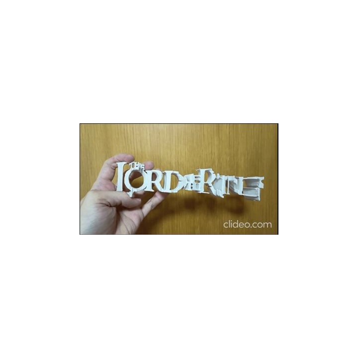 Sculpture Anamorphique - Lord of the Rings & La Communauté