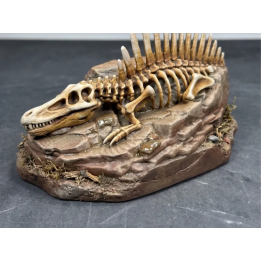 Fossile Squelette de Spinosaurus