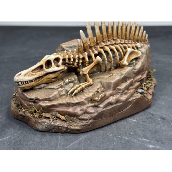 Fossile Squelette de Spinosaurus