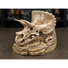 Fossile Squelette de Tricératops