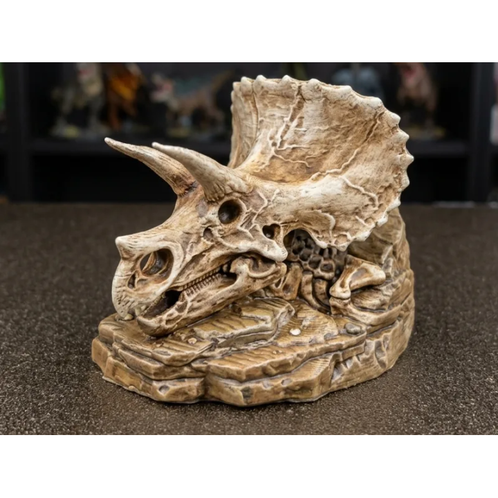 Fossile Squelette de Tricératops
